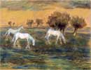 White horses in the meadows
