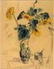 Floarea soarelui - schița