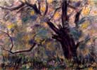 Pear tree